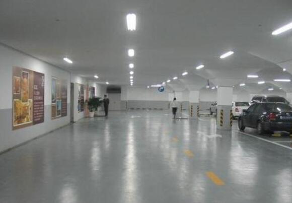 ����ɰ��ƺ